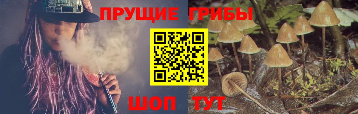 Меф   Канабис  Экстази  ГАШИШ  Приморско-Ахтарск  Вход с VPN  COCAIN  ГАШ 